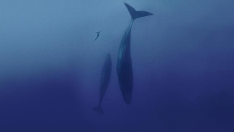 кадр из фильма Freediver