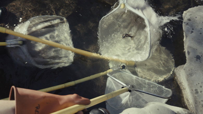 кадр из фильма Fish for the Future