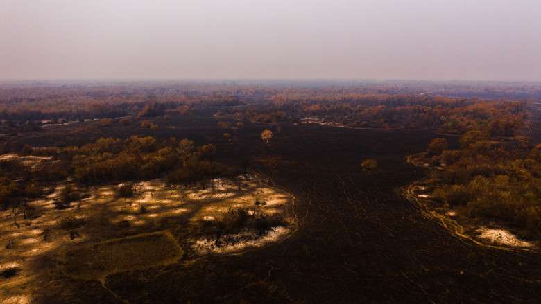 кадр из фильма Sinfonia da Sobrevivência