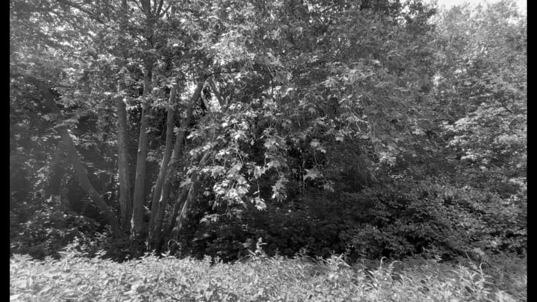 кадр из фильма ARGILEUX