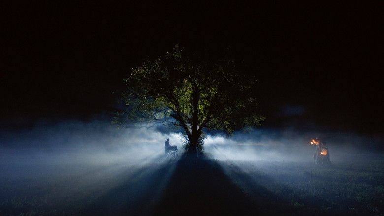 кадр из фильма Bukuria e Gomarit