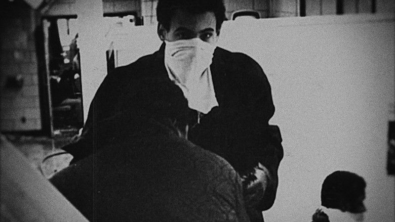 кадр из фильма True North