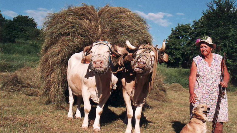 кадр из фильма Les métiers d'autrefois : Femme Paysanne