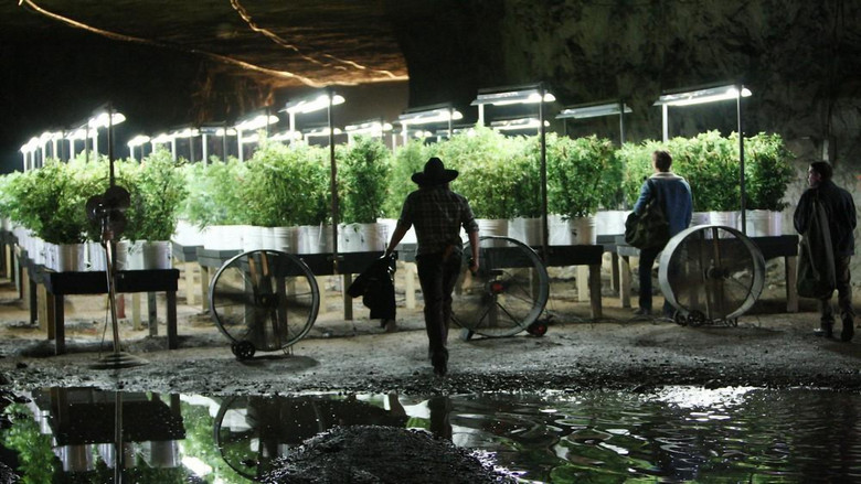 кадр из фильма В ритме беззакония