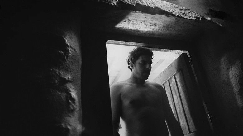 кадр из фильма Βληχή