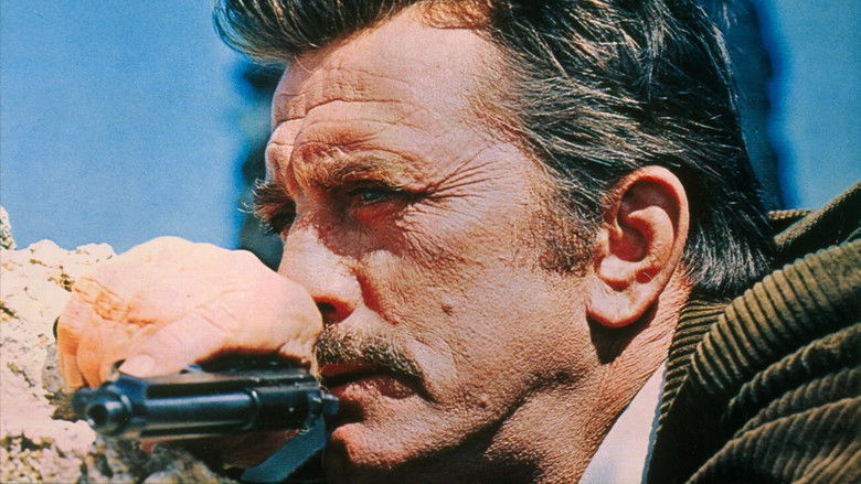 кадр из фильма Братство