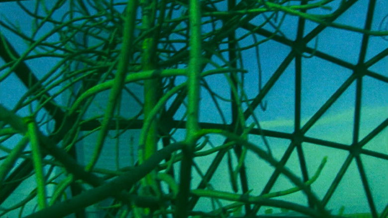 Орнетт: Сделан в Америке