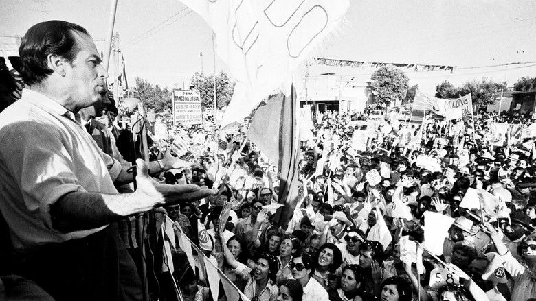 кадр из фильма Wilson