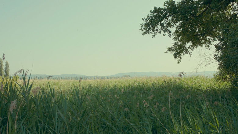 кадр из фильма Die Wichtigkeit der Freundschaft