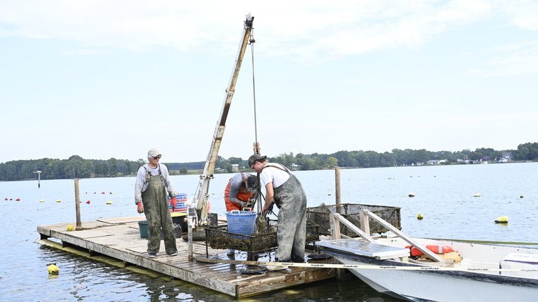 кадр из фильма Waterman's Heritage - Oysters in St. Mary's County