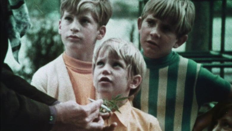 кадр из фильма Drug Stories! Narcotic Nightmares and Hallucinogenic Hellrides