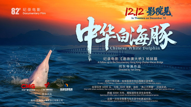 中华白海豚