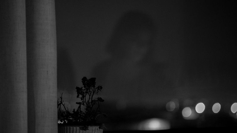 кадр из фильма Memories of a Window