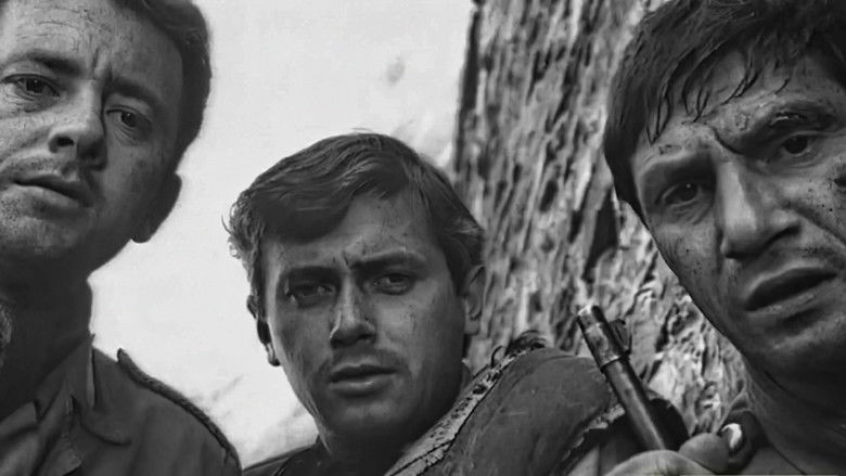 кадр из фильма Zwariowana noc