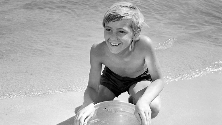 кадр из фильма Иваново детство