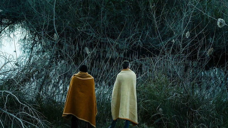 кадр из фильма Svi severni gradovi