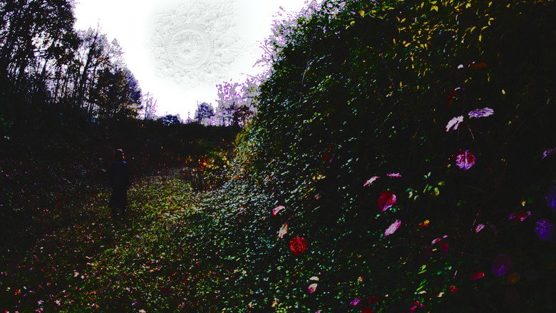 кадр из фильма La Voie