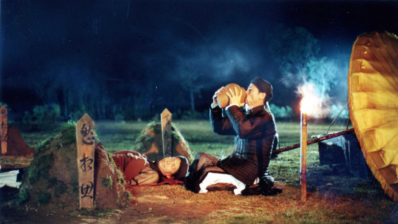 Mê Thảo - thời vang bóng