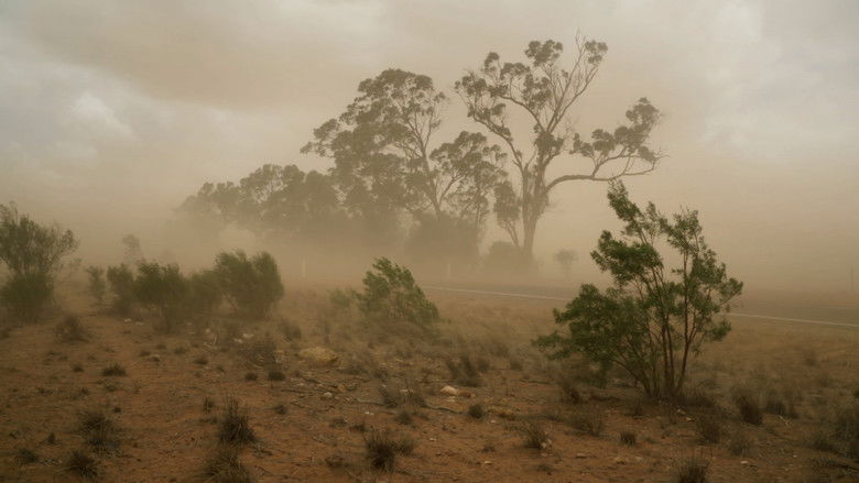 кадр из фильма Where Is My Darling?