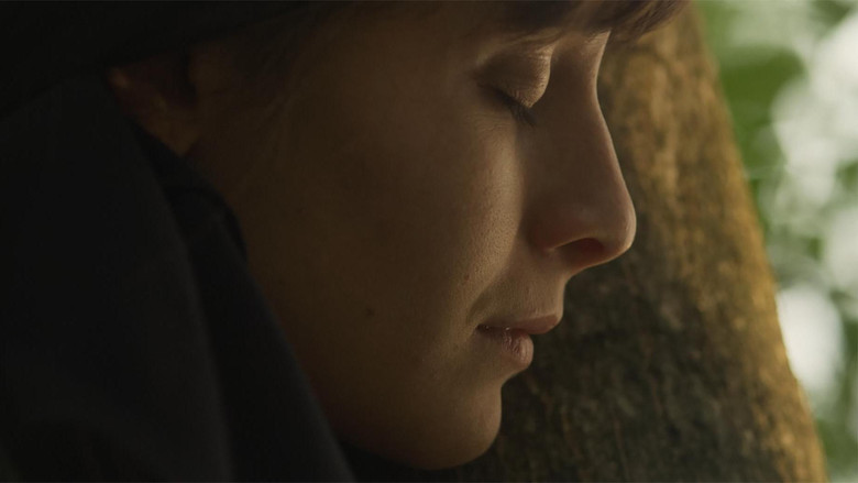 кадр из фильма Am Nici Ærci