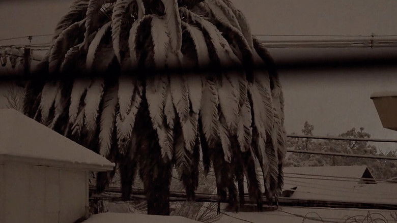 кадр из фильма Presente