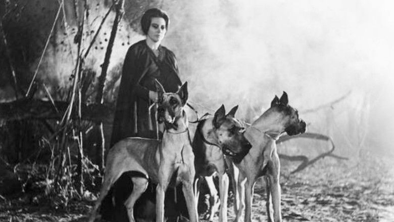 кадр из фильма La maldición de la Llorona