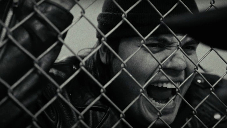 кадр из фильма Raccoons