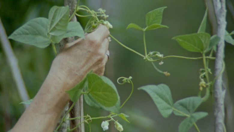 кадр из фильма Krutxalteatik Uronarat