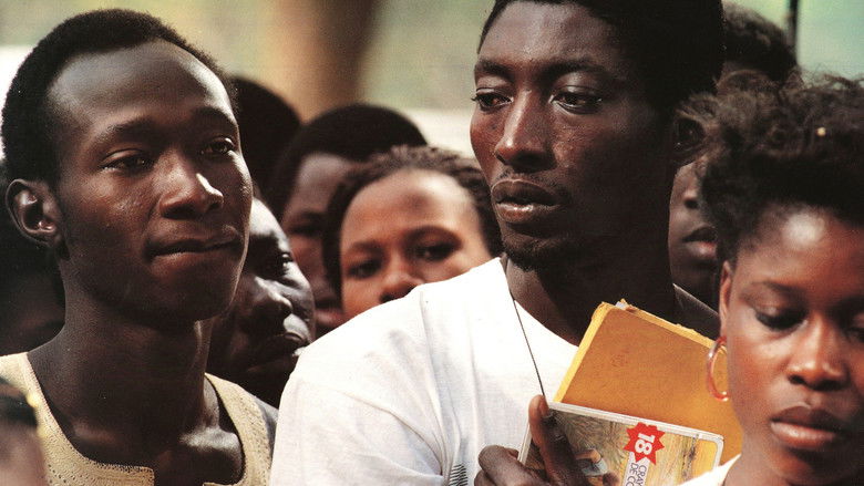 кадр из фильма Laafi - Tout va bien