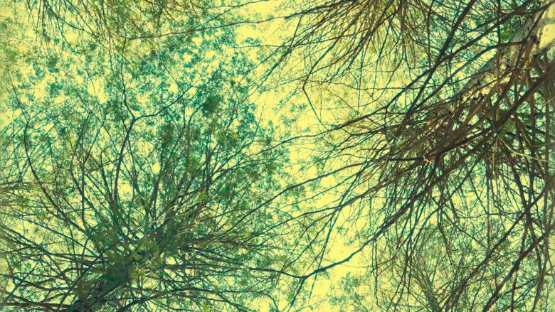 кадр из фильма Cold Days From the Treetops