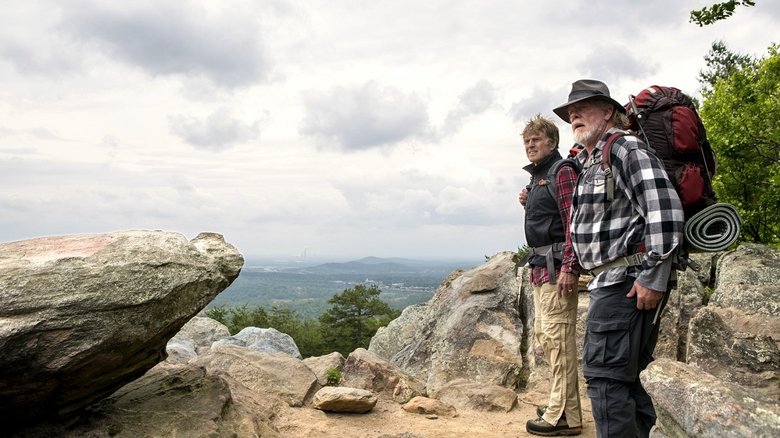 кадр из фильма Прогулка по лесам