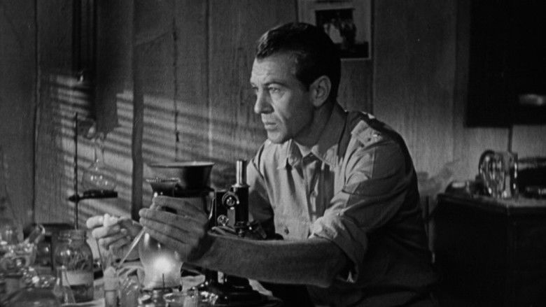 кадр из фильма Настоящая слава