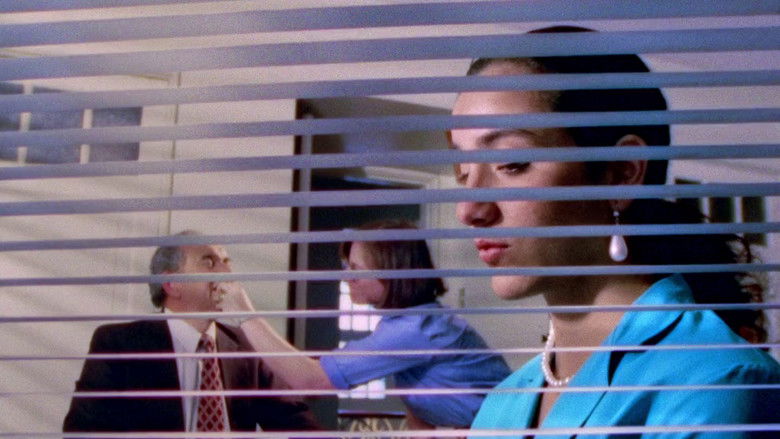 кадр из фильма La telenovela errante