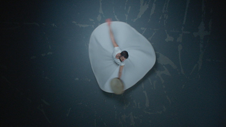 кадр из фильма The Dancer