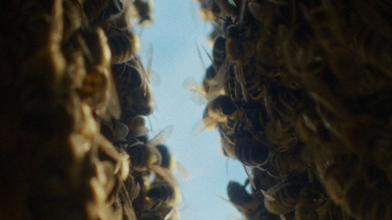 кадр из фильма Biodlaren