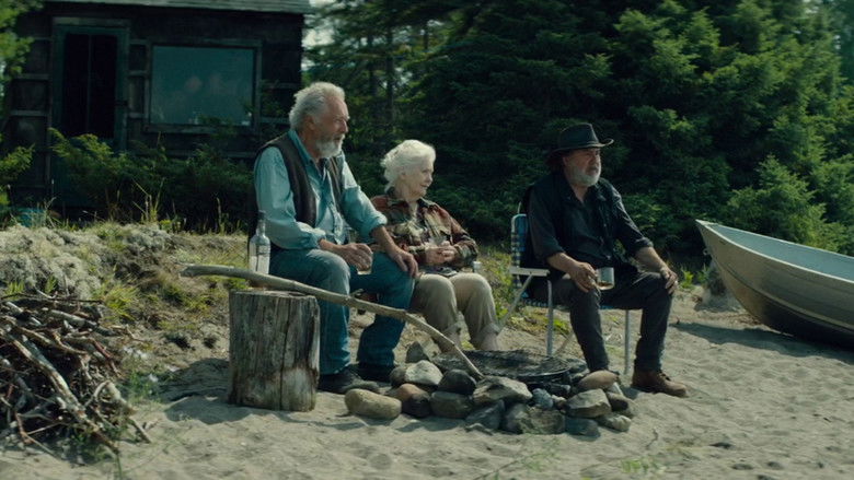 кадр из фильма Птицы падали дождем