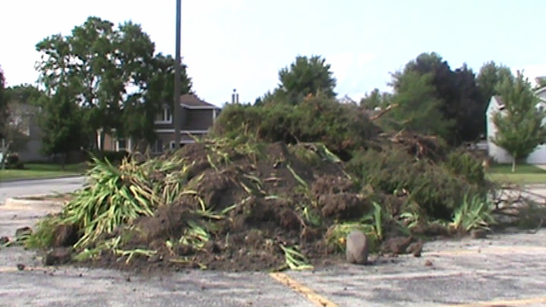 кадр из фильма walk