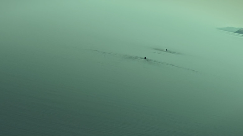 кадр из фильма 刺猬