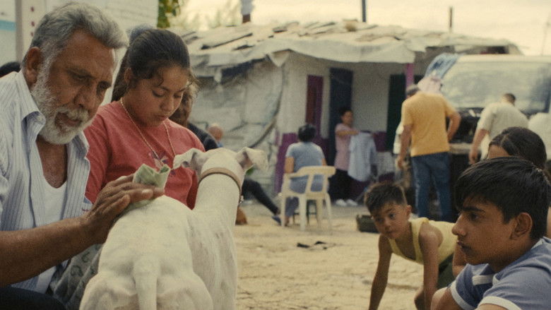 кадр из фильма Ciudad sin sueño