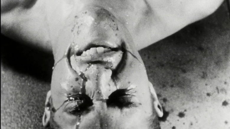 кадр из фильма Fireworks