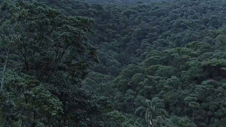 кадр из фильма Невиновность