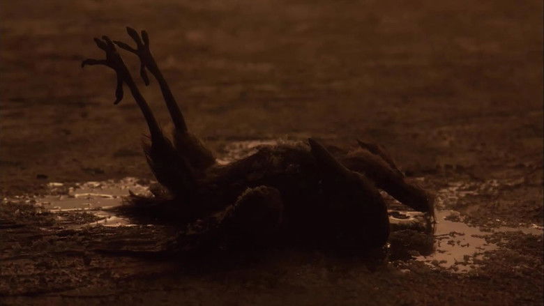 кадр из фильма Sororelle