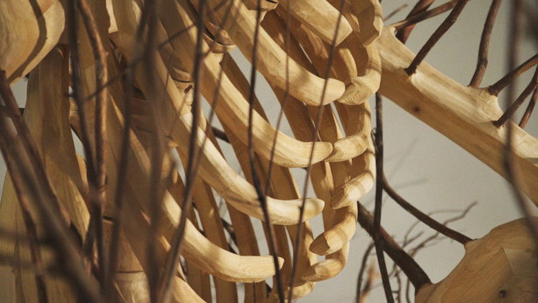 кадр из фильма Hugh Hayden: Skeletons in the Swamp