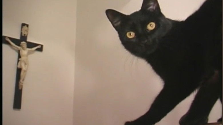 кадр из фильма Catastrophy