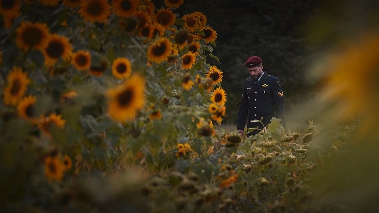 кадр из фильма La switch