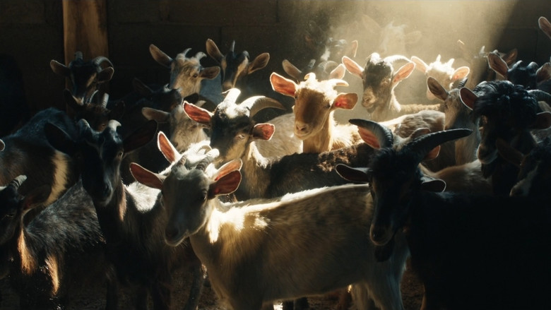 кадр из фильма Le Mohican