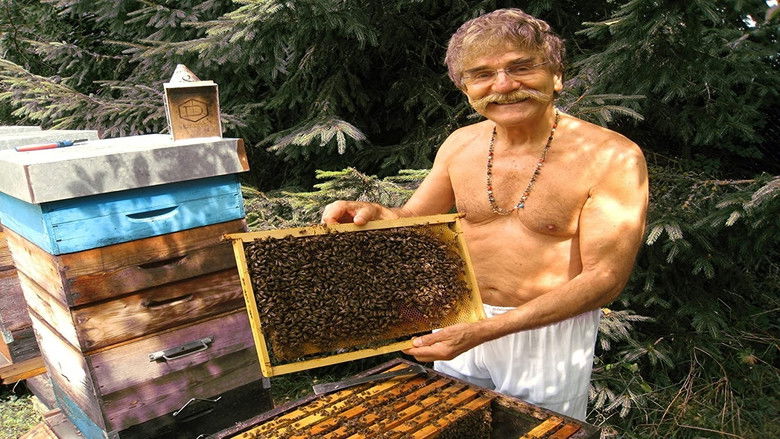 кадр из фильма Queen of the Sun: What Are the Bees Telling Us?‎