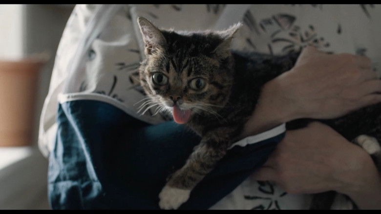 кадр из фильма Cooke Concrete