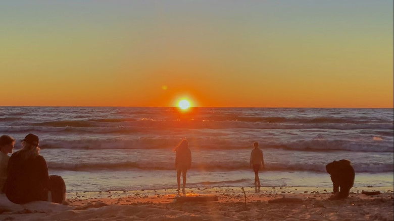 кадр из фильма daydream