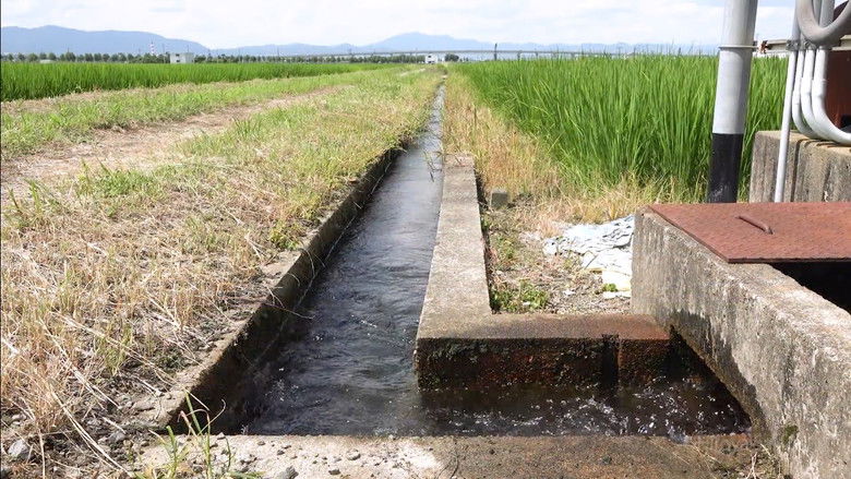 кадр из фильма Поток VIII